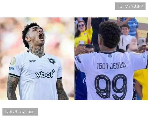 南美足球强势崛起,全球影响力持续攀升 南美足球强势崛起,全球影响力持续攀升