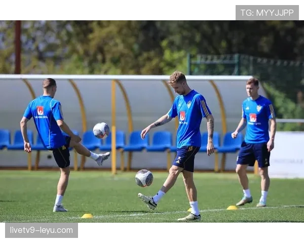 安德松强调青训体系是瑞典足球未来发展的关键 安德松强调青训体系是瑞典足球未来发展的关键