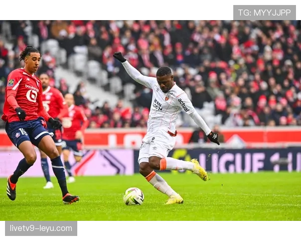 蒙彼利埃主场强势延续，稳健发挥彰显强劲实力