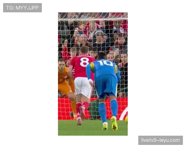 汉堡竞技状态回暖,球员表现亮眼迎接新挑战